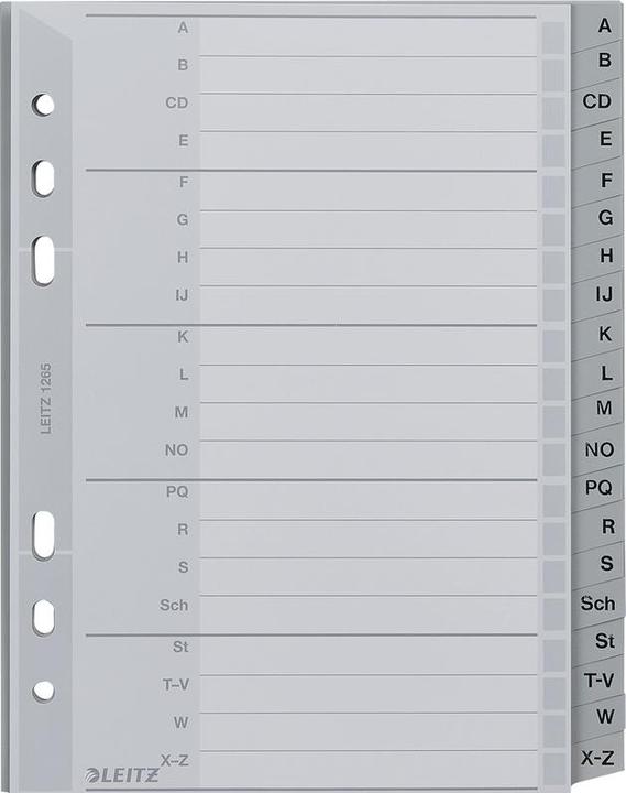 Actual product image Leitz Register PP