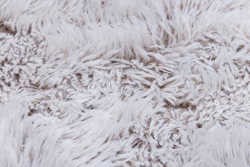 Produktbild Beeztees Orthopädisches Hundekissen (Hund)