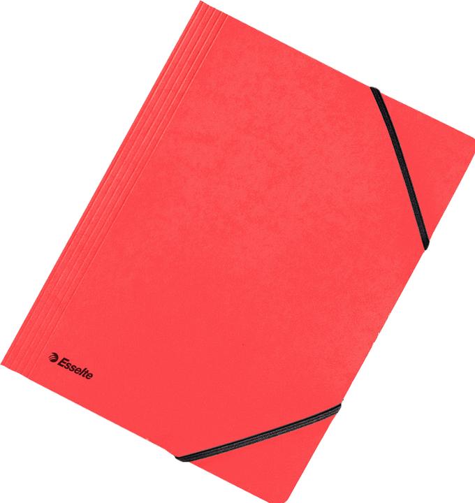 Actual product image Esselte Flap Folder (A4, 1x)