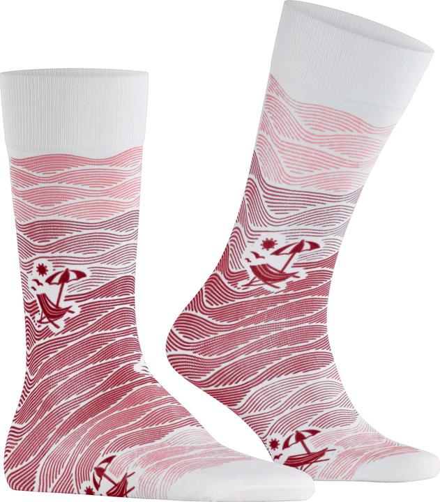 Produktbild Falke Plage Baumwollsocken (Einzelpack, 39 - 42)