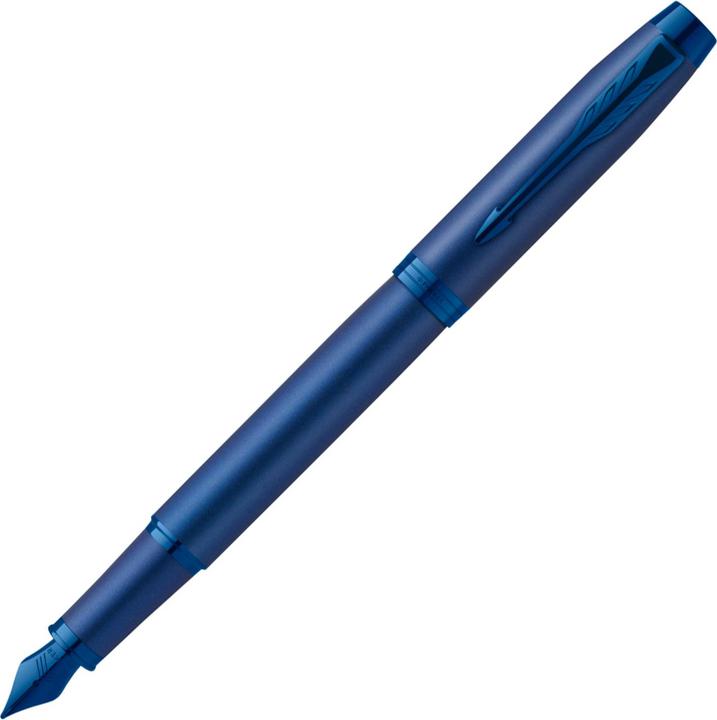 Immagine prodotto Parker Pen Penna stilografica (Blu, 1x)