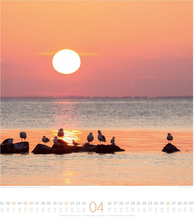 Image du produit Meeresstille Kalender 2026 (48 x 54 cm, Couverture rigide, Anglais, Français, Allemand)