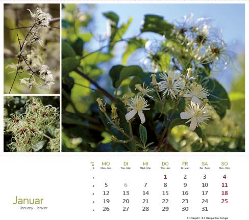 Produktbild HeilpfanzenrundumdenBodensee2026