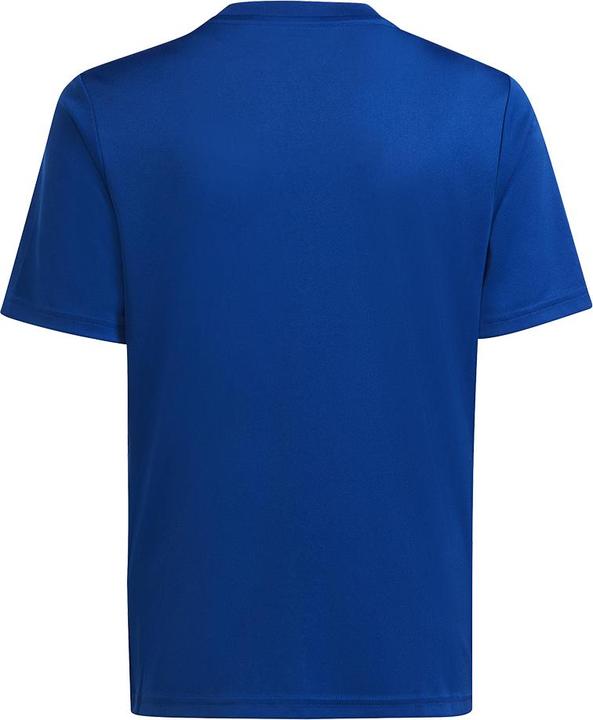 Produktbild adidas Team Icon 23 Trikot (116)