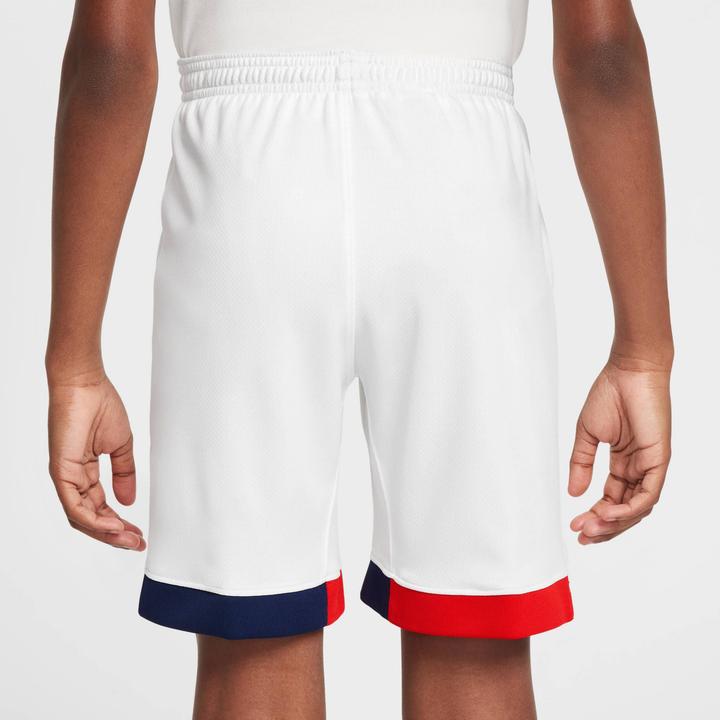 Actual product image Nike Paris Saint-Germain Stadium Away (M)