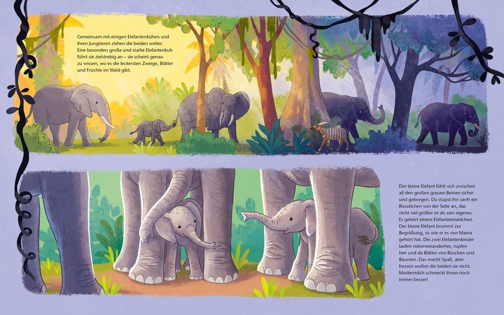 Produktbild Der kleine Waldelefant - Zu Hause in Afrika (Deutsch, Kristina Scharmacher-Schreiber, Christine Faust, 2024)