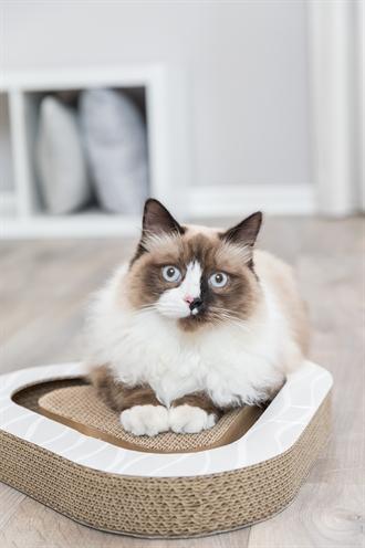 Productafbeelding Trixie Krasbord (5 cm, Bruin)