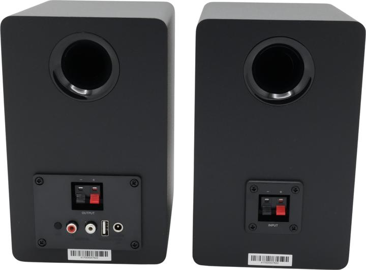 Actual product image Audio-Technica AT-SP3X (1 pair, 30 W)