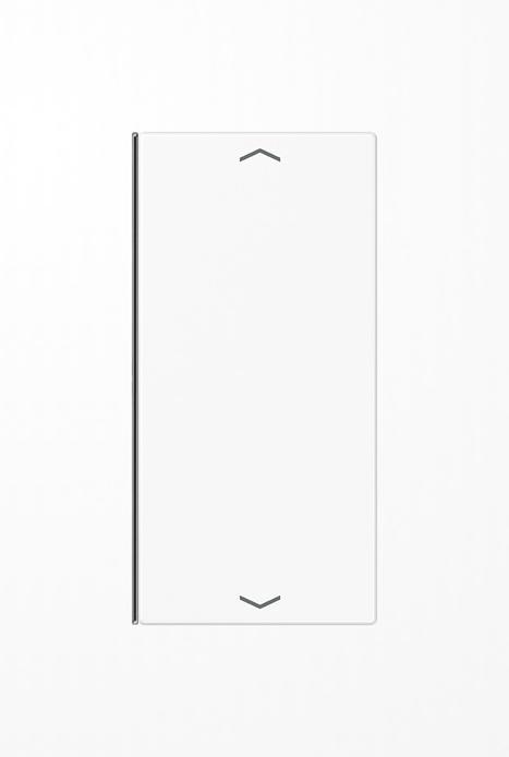 Actual product image JUNG LS402TSAPWW Button 2-fold, arrow