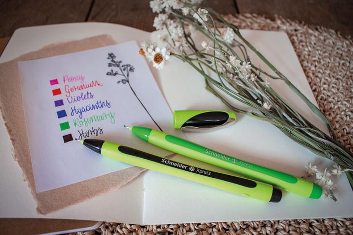 Actual product image Schneider Xpress (Green, Black, 1 x)