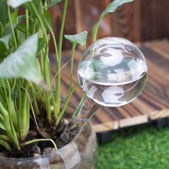 Image du produit Casativo Bewässerungskugeln (Boules d'arrosage)