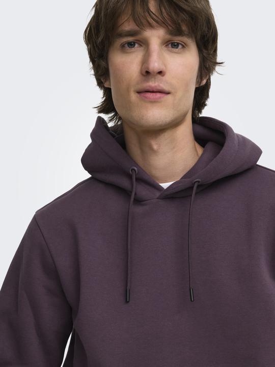 Image du produit Only & Sons Onsceres Hoodie Sweat Noos (XS)