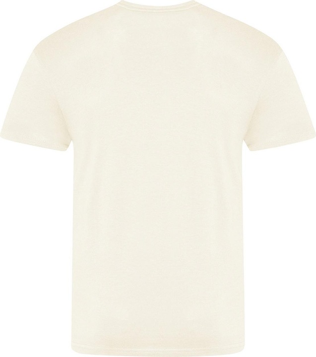 Actual product image Awdis The 100 Tshirt (XXL)