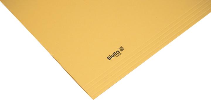 Produktbild Biella Vertikalmappen (A4, 100 x)
