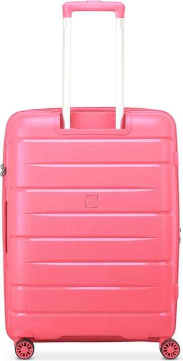 Coral Pink