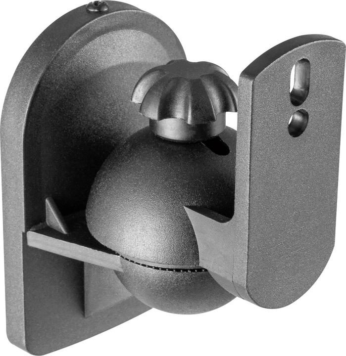 Actual product image SpeaKa Professional SP-5369944 (1 pair, Wall installation, Pivoting)