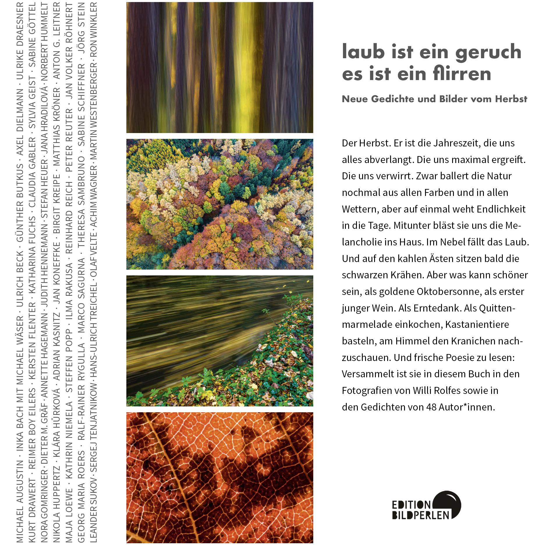 Thumbnail - laub ist ein geruch es ist ein flirren, Ratgeber von Marco Sagurna, Willi Rolfes