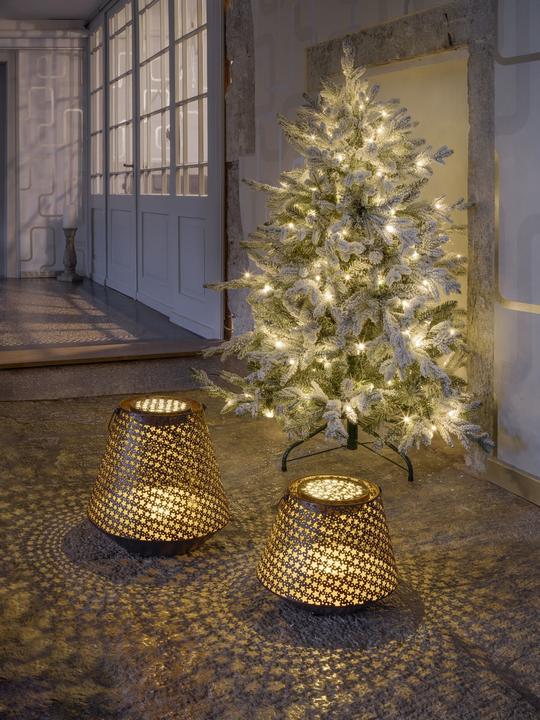 Immagine prodotto STT Nova stars