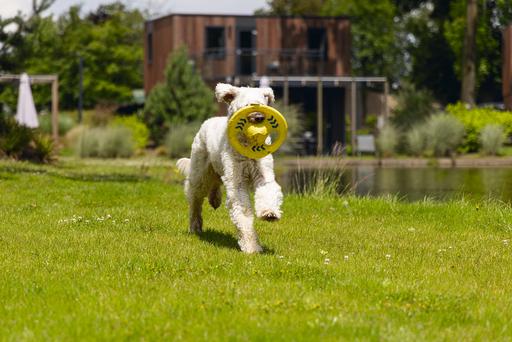 Produktbild Beeztees Fetch Hunde Frisbee Tof (Wurfspielzeug Hund)