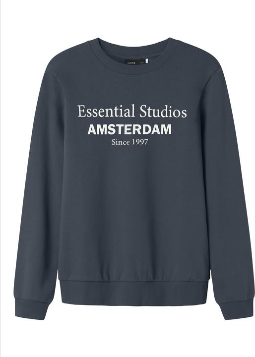 Produktbild Lmtd Regular Fit Sweatshirt (170, 176)