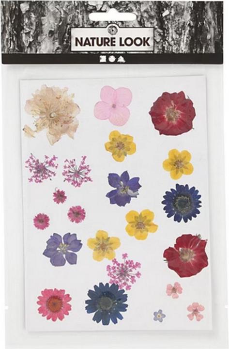 Actual product image Creativ Company Pressed (1 pcs.)