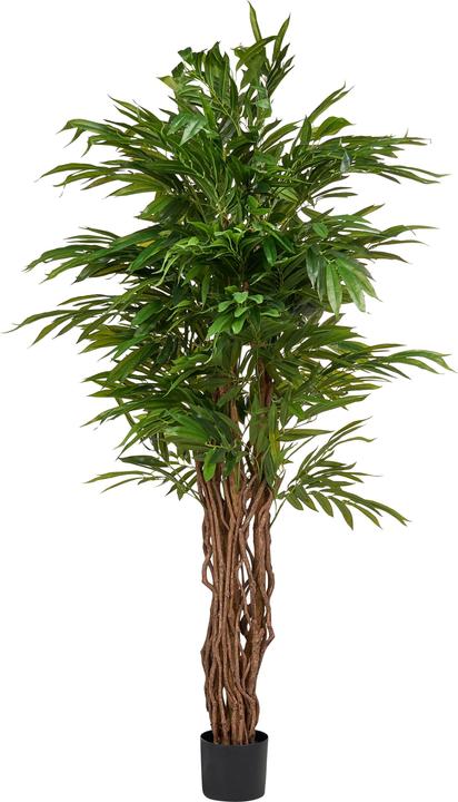 Produktbild Beliani Willow Tree (180 cm)