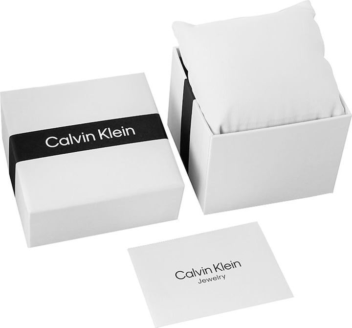 Produktbild Calvin Klein Moderne Mesh-Herrenuhr 25200049 + BOX