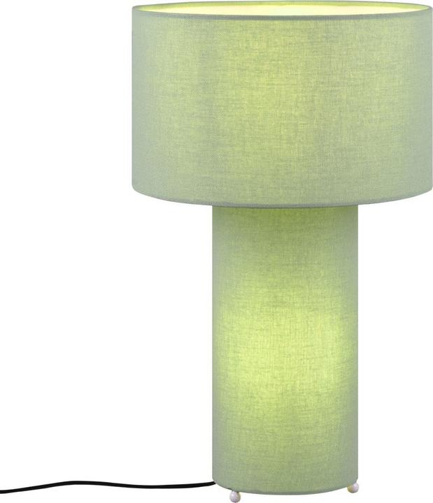 Actual product image Trio 505200149 (E27)