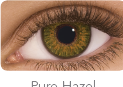 Actual product image Freshlook One Day Colour (Pure Hazel)