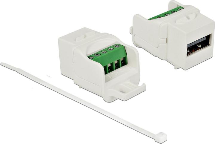 Image du produit Delock Entrée modulaire