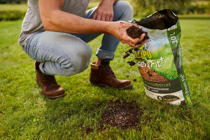 Gesal Rasen-Reparatur MiX - kaufen bei Galaxus - Galaxus