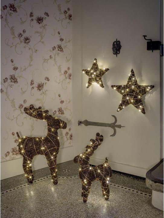 Image du produit STT Natural reindeer