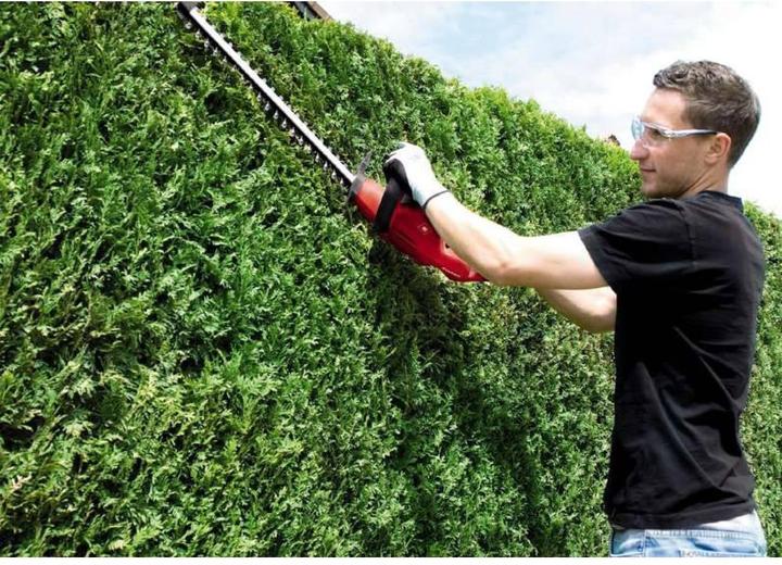 Produktbild Einhell GC-EH 4550 (Netzbetrieb)