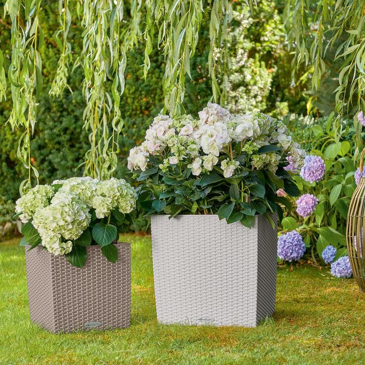 Produktbild Lechuza Cube Cottage 30 (30 x 30 x 30 cm)