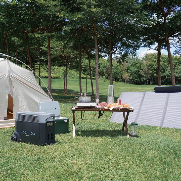 Immagine prodotto EcoFlow Delta Pro (UE) (3600 Wh, 44.40 kg)