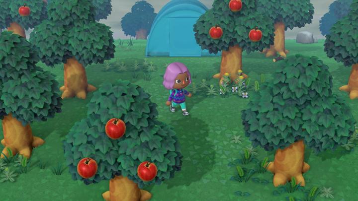 Produktbild Nintendo Animal Crossing: New Horizons (Switch, DE)