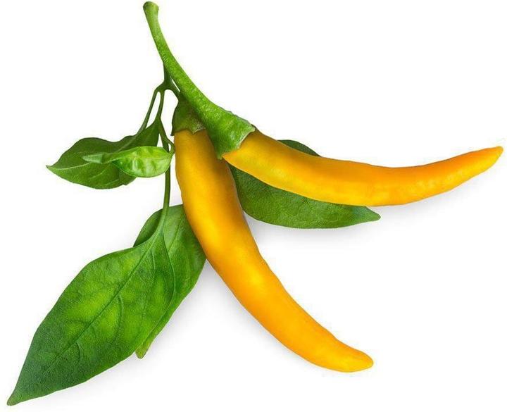 Immagine prodotto Click and Grow Semi Peperoncino giallo (Semi di verdura)