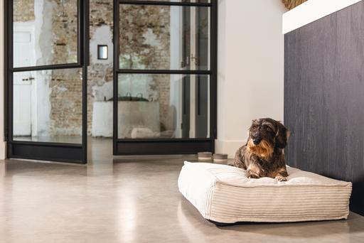 Produktbild Designed by Lotte Ribbed (Hund)