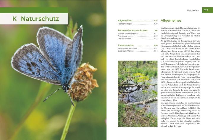Produktbild Vor und nach der Jägerprüfung (Deutsch, Herbert Krebs, 2024)