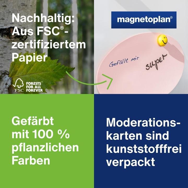 Actual product image Magnetoplan Compact