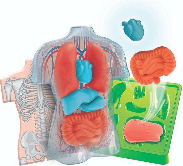 Actual product image Clementoni Experimentierset Galileo Squishy Anatomie
