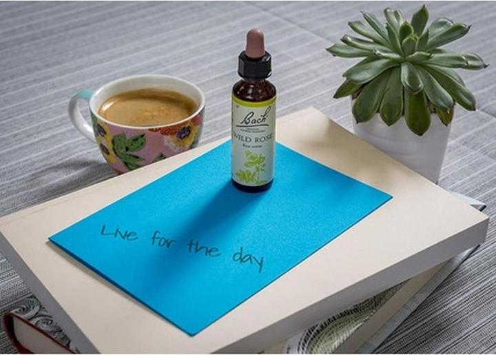 Produktbild Bach Rescue Original Flower Remedy Wild Rose Vegan Formula 20ml (20 ml)