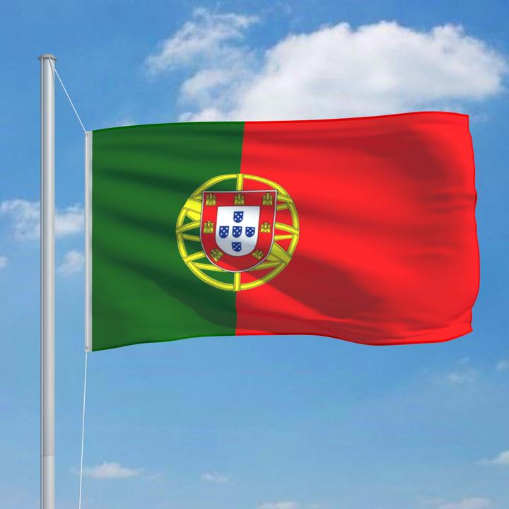 Actual product image vidaXL Portugiesische Flagge (90 x 150 cm)
