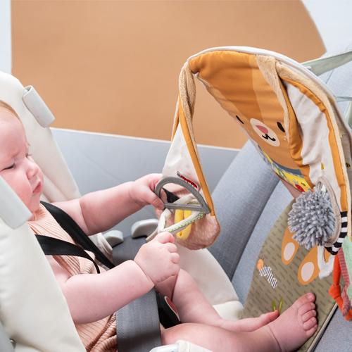 Actual product image Taf Toys Bunny car toy