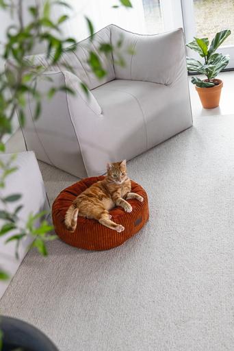 Immagine prodotto Designed by Lotte Ribbed (Gatto)