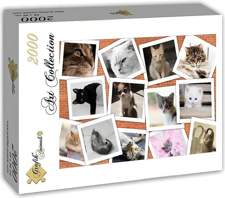 Grafika Puzzle 2000 pièces Cats (2000 pièces)