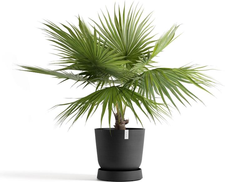 Image du produit Ecopots Saucer Wheels Oslo