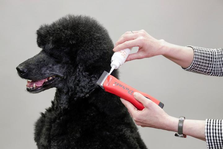 Produktbild Aesculap Schermaschinenöl (Hund, 90 ml)