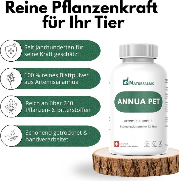 Produktbild Naturfabrik Annua Pet 90 Kapseln