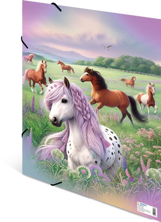 Actual product image HERMA A3 motif folder (A3, 1x)